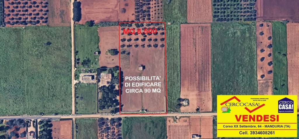 immagine annuncio 2 di 13