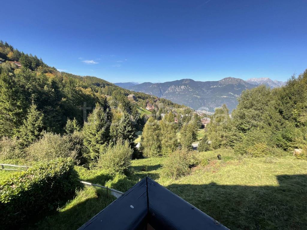 immagine annuncio 11 di 14