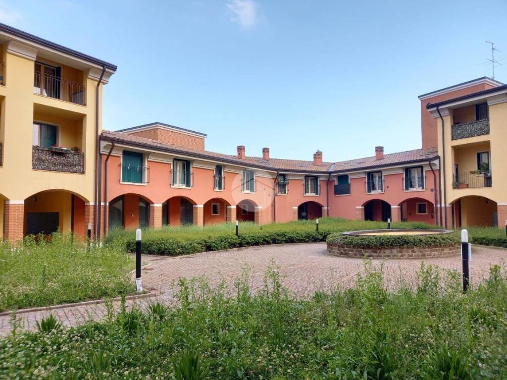 immagine annuncio 1 di 15