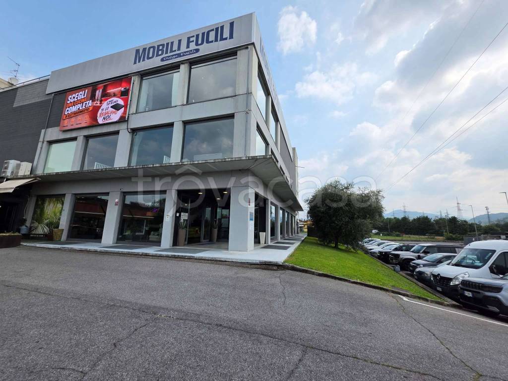 immagine annuncio 12 di 14
