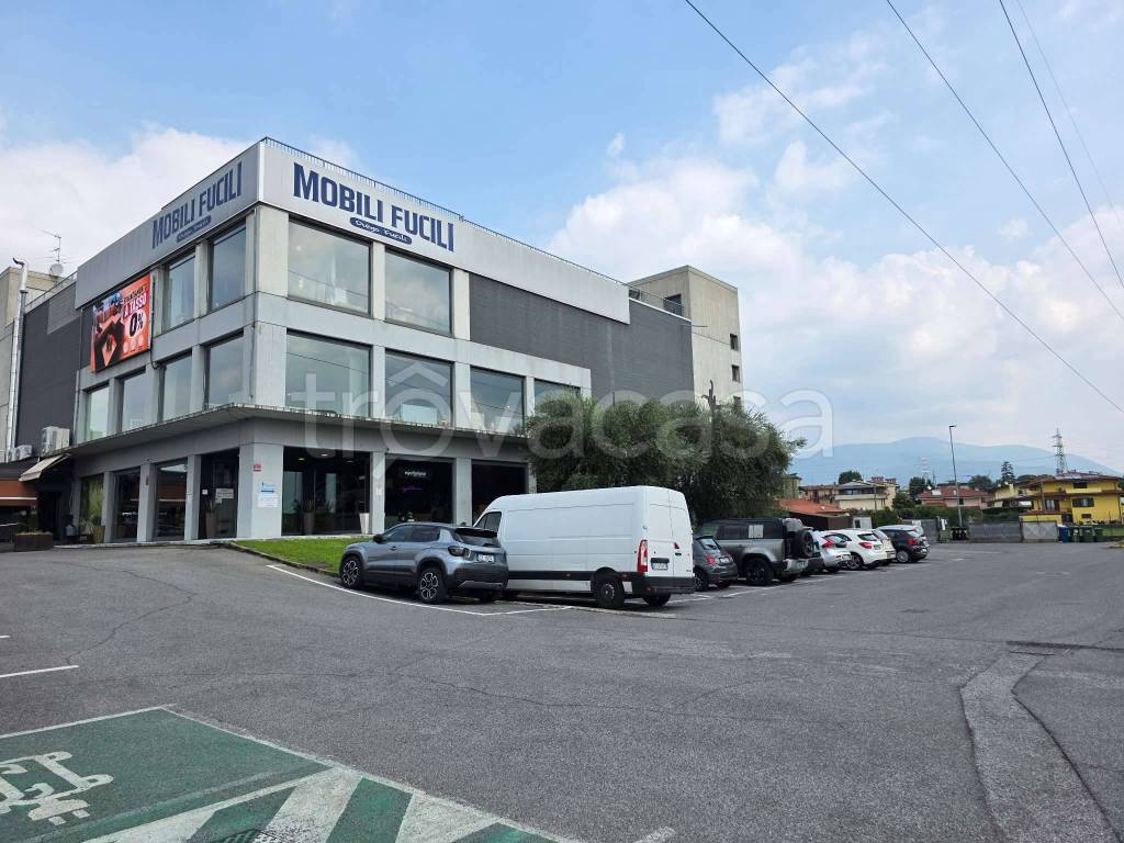 immagine annuncio 13 di 14