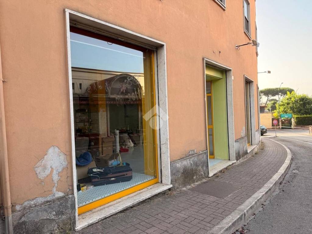 immagine annuncio 12 di 14