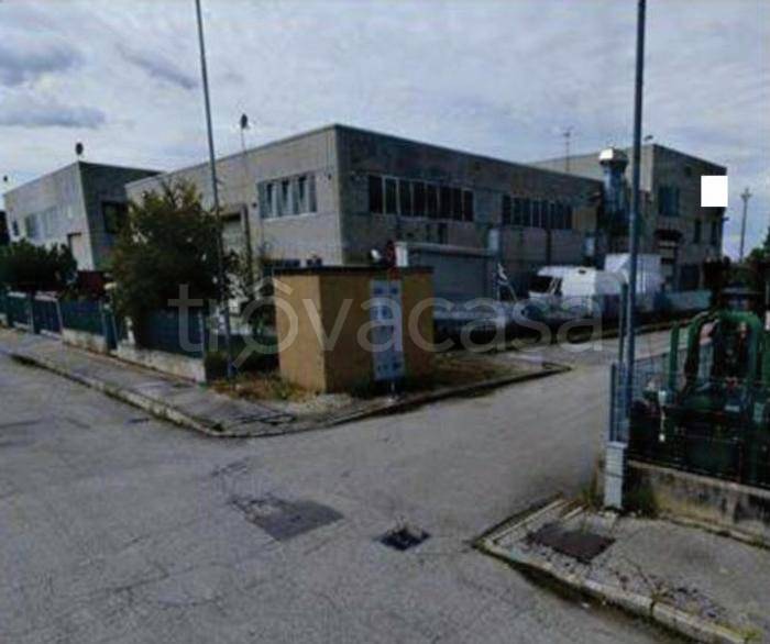 immagine annuncio 1 di 9