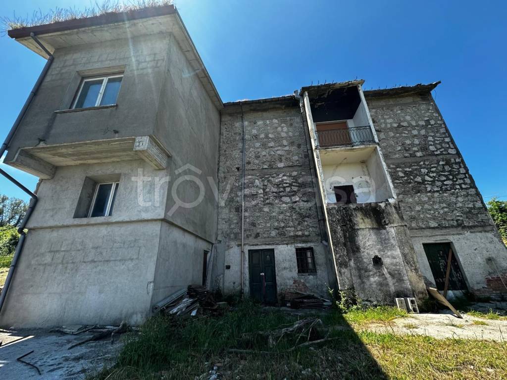 immagine annuncio 2 di 12