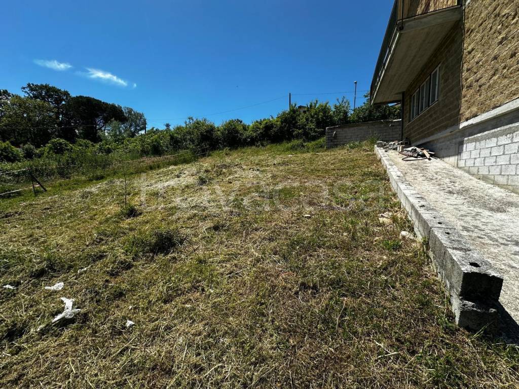 immagine annuncio 4 di 12