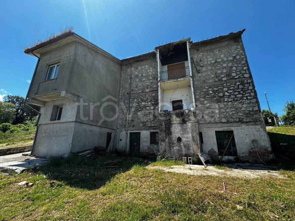 immagine annuncio 9 di 12
