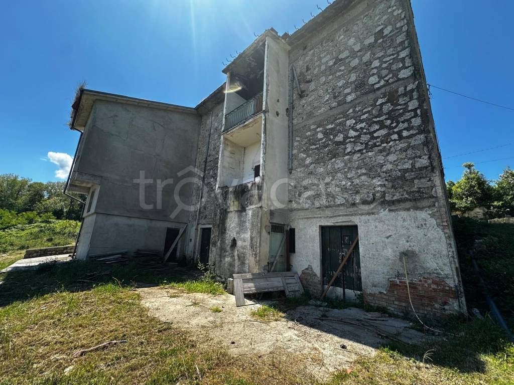 immagine annuncio 10 di 12