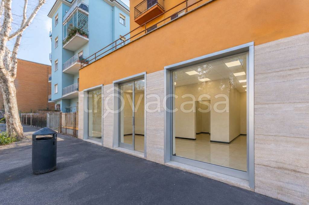 immagine annuncio 3 di 9