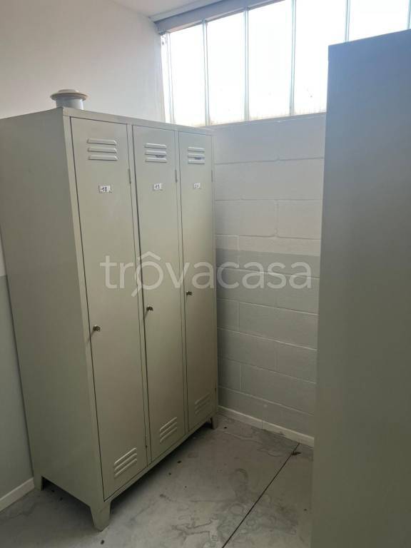 immagine annuncio 6 di 8