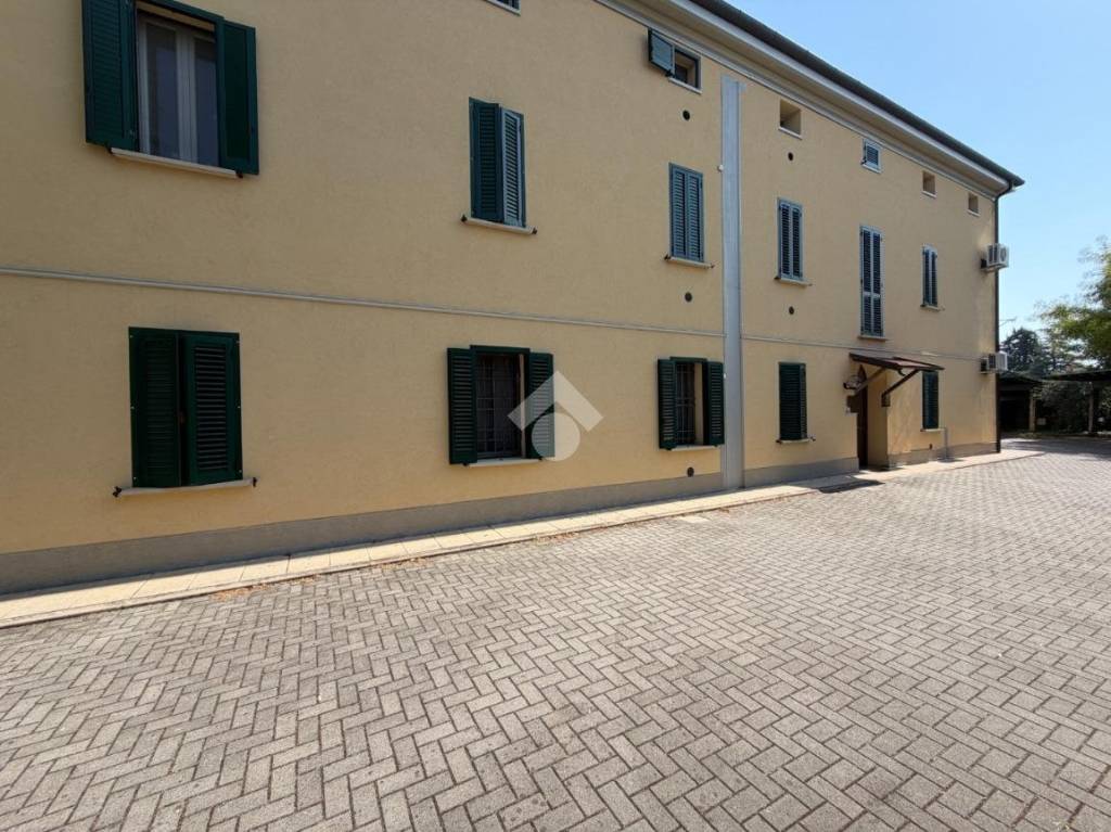 immagine annuncio 12 di 14