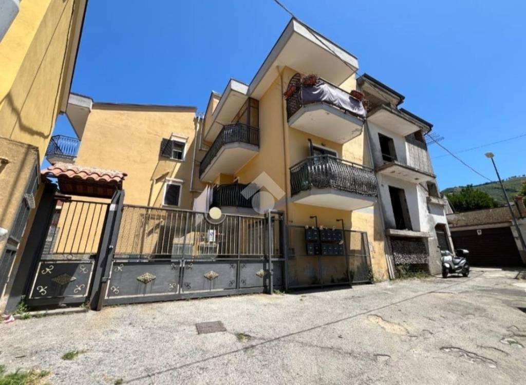 immagine annuncio 1 di 14