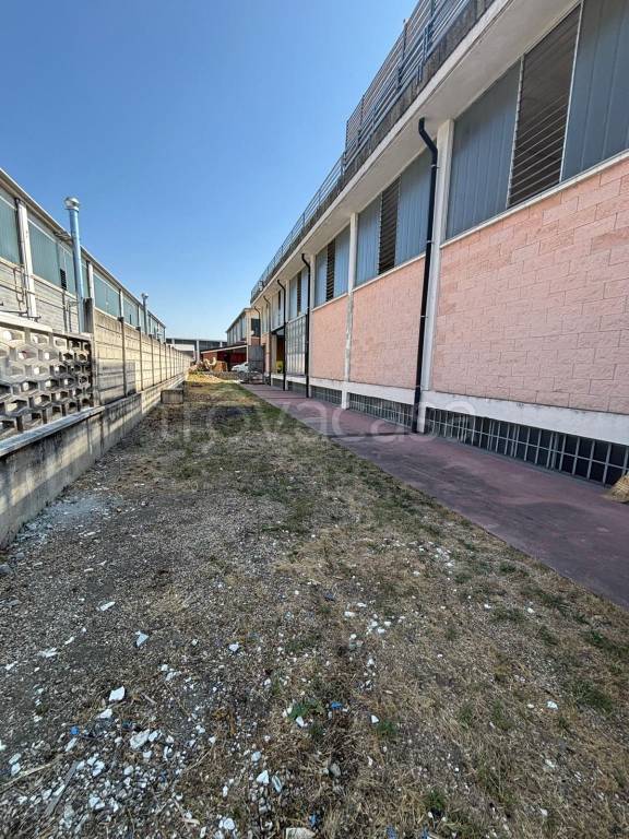 immagine annuncio 2 di 11