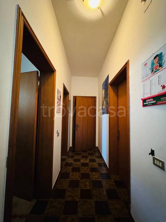 immagine annuncio 7 di 12