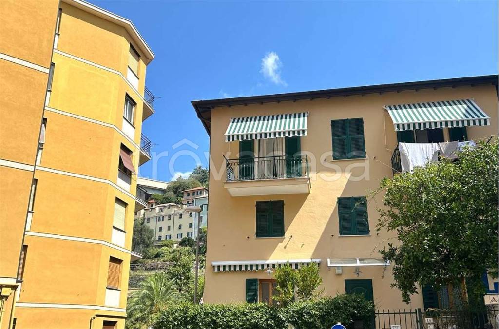 immagine annuncio 10 di 14