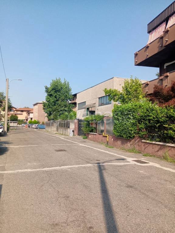 immagine annuncio 4 di 15