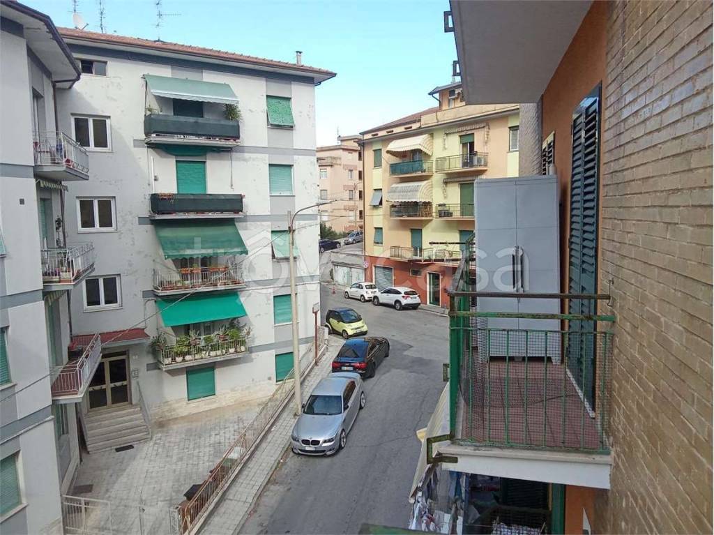 immagine annuncio 5 di 12