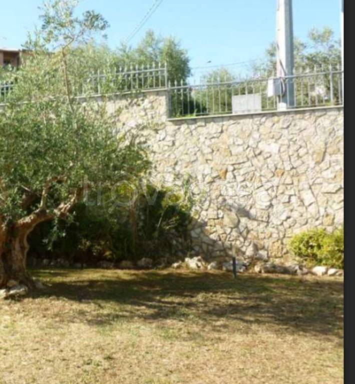 immagine annuncio 2 di 11