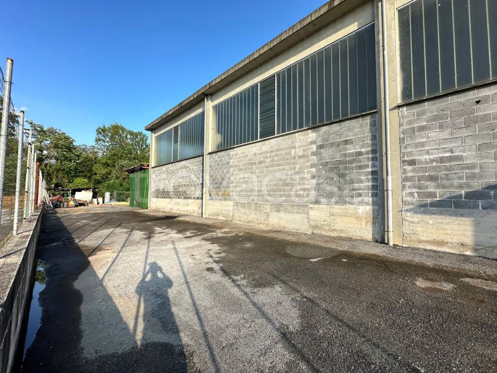 immagine annuncio 9 di 12