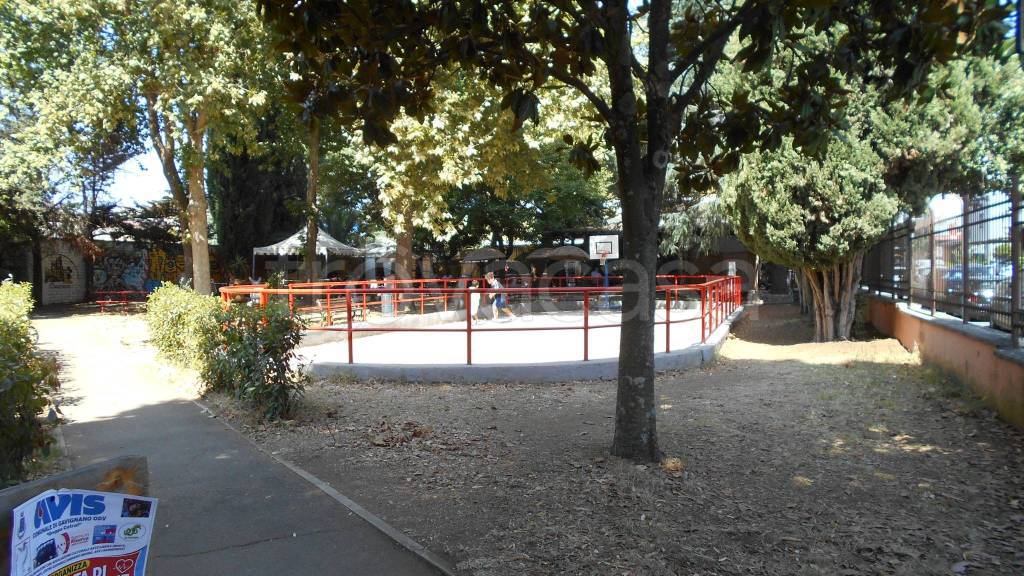 immagine annuncio 3 di 15