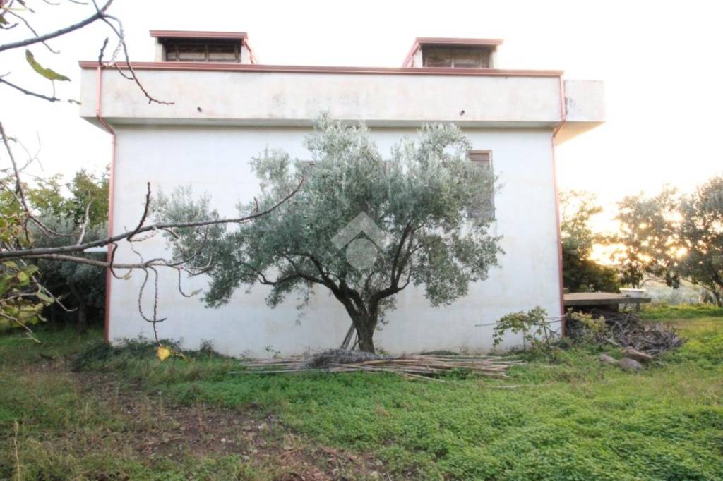 immagine annuncio 12 di 14