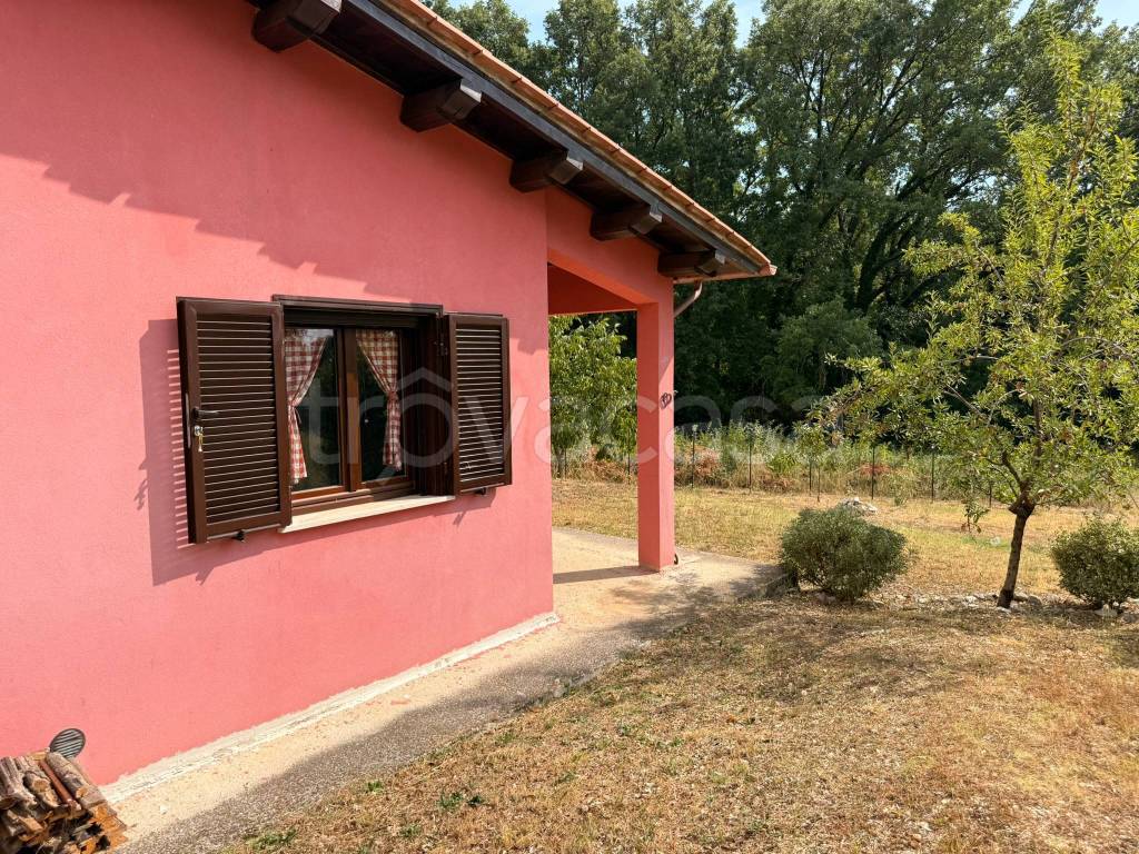 immagine annuncio 4 di 14