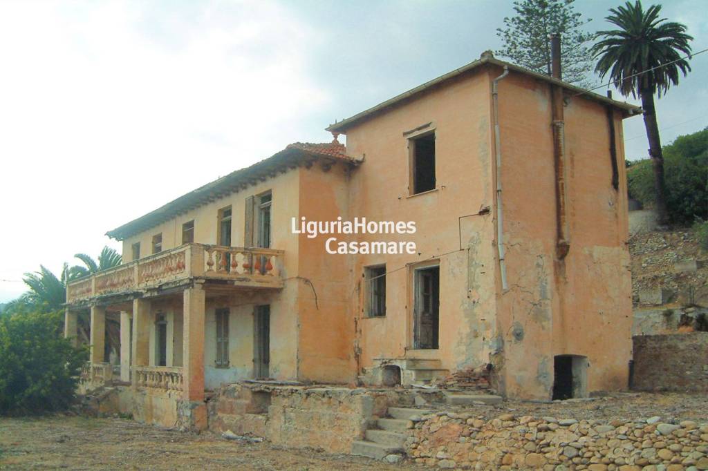 immagine annuncio 7 di 13