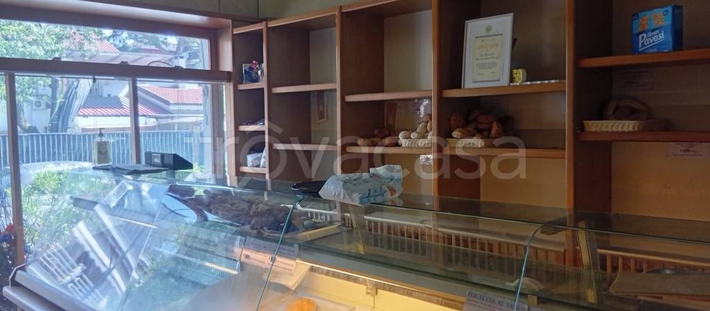 immagine annuncio 3 di 8