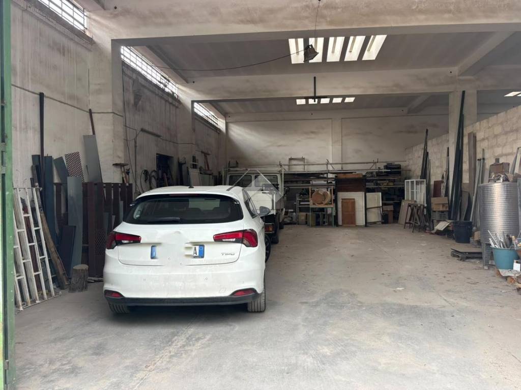 immagine annuncio 9 di 15