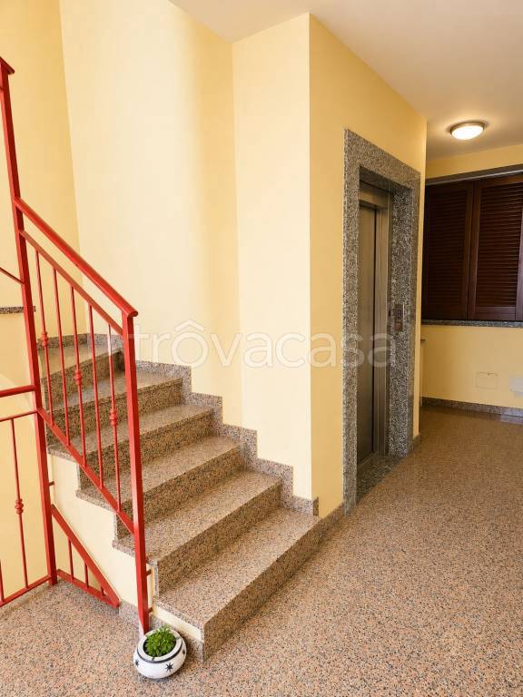 immagine annuncio 13 di 14
