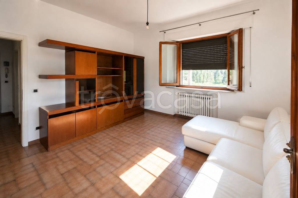 immagine annuncio 3 di 14