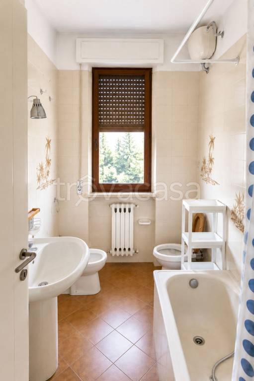 immagine annuncio 6 di 14