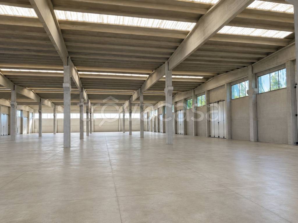 immagine annuncio 4 di 9