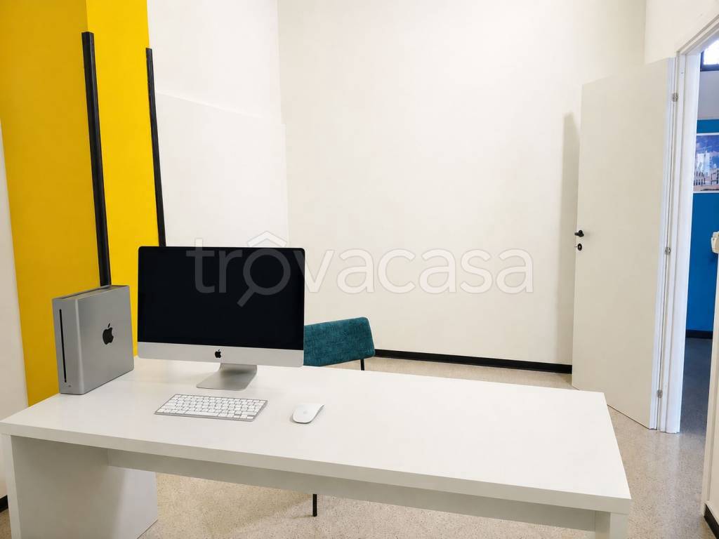 immagine annuncio 5 di 12