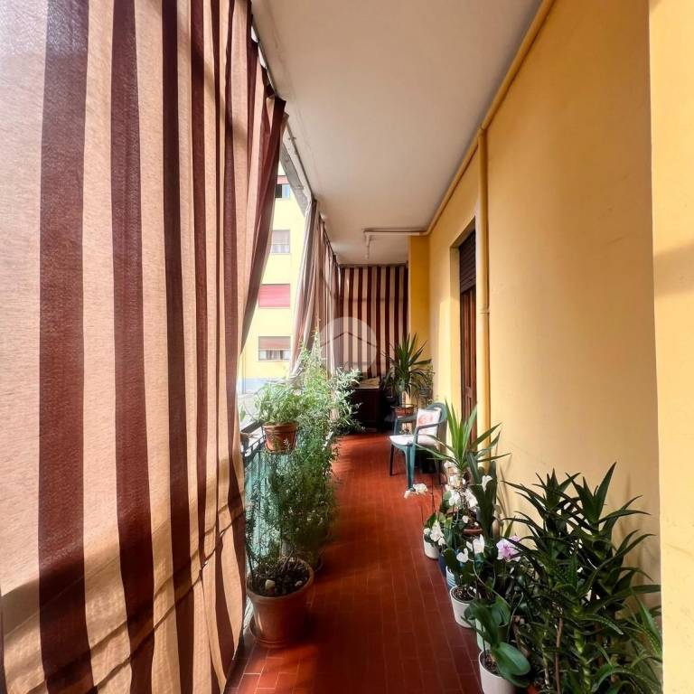 immagine annuncio 6 di 13