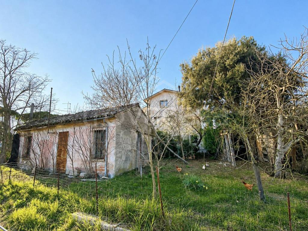 immagine annuncio 2 di 4