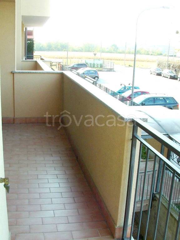 immagine annuncio 11 di 12