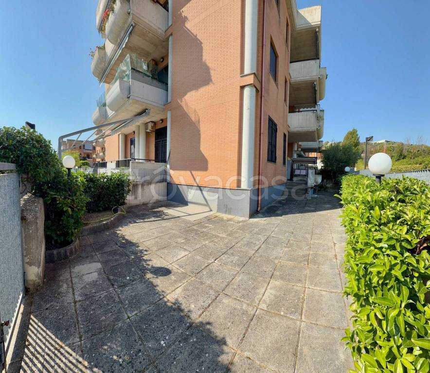 immagine annuncio 7 di 8