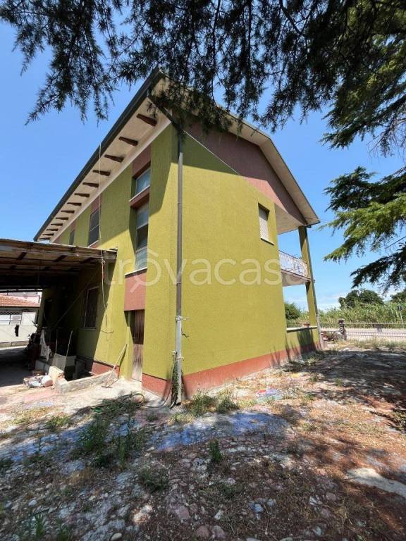 immagine annuncio 3 di 11