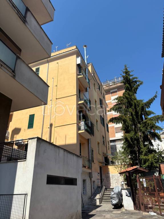 immagine annuncio 1 di 2