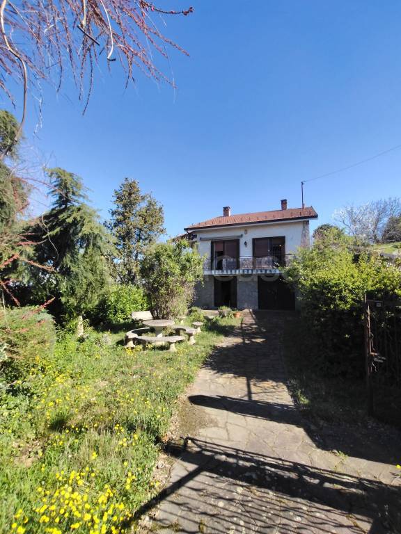 immagine annuncio 12 di 14