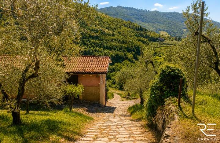 immagine annuncio 1 di 15