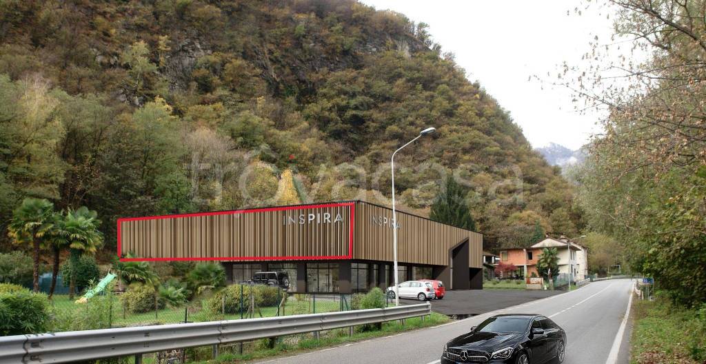 immagine annuncio 13 di 14