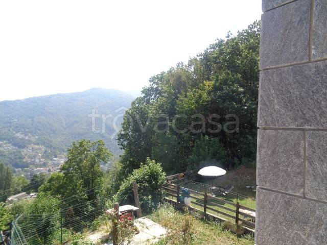 immagine annuncio 4 di 12