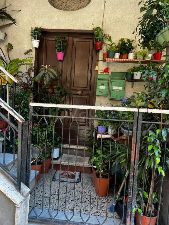 immagine annuncio 3 di 13