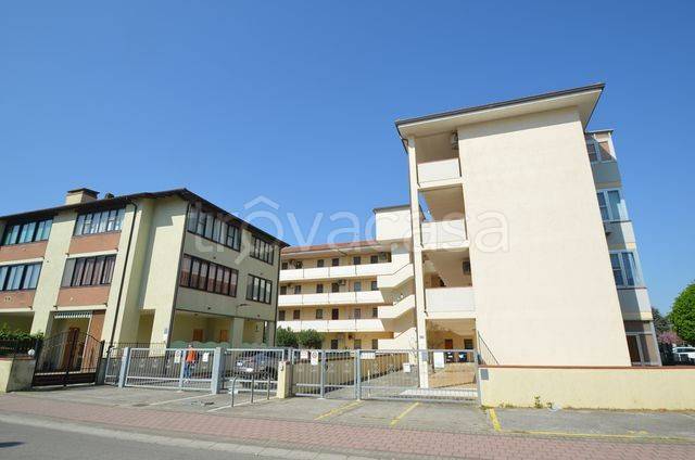 immagine annuncio 2 di 12