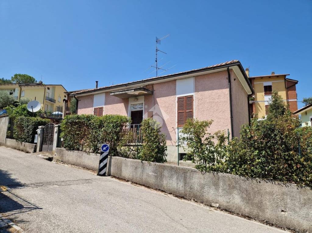 immagine annuncio 1 di 14