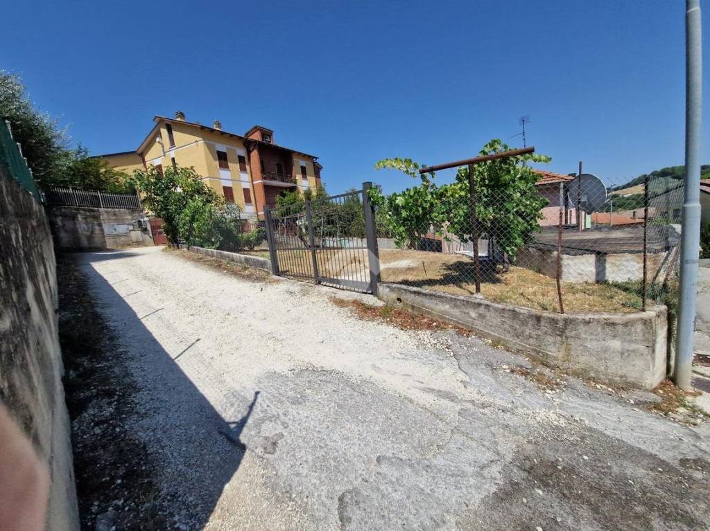 immagine annuncio 2 di 14