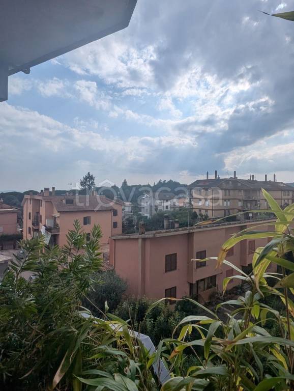 immagine annuncio 7 di 14