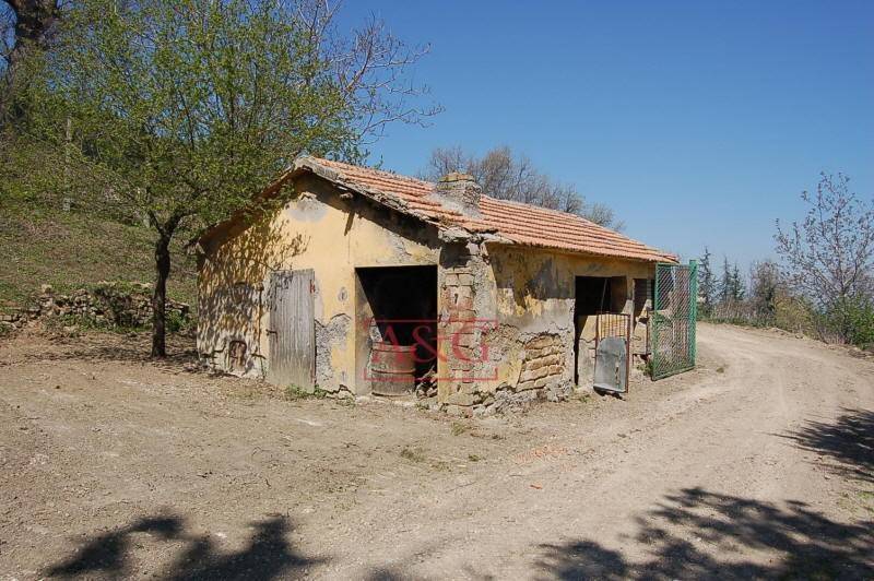 immagine annuncio 6 di 14
