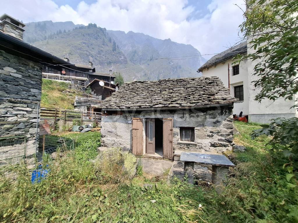 immagine annuncio 10 di 14